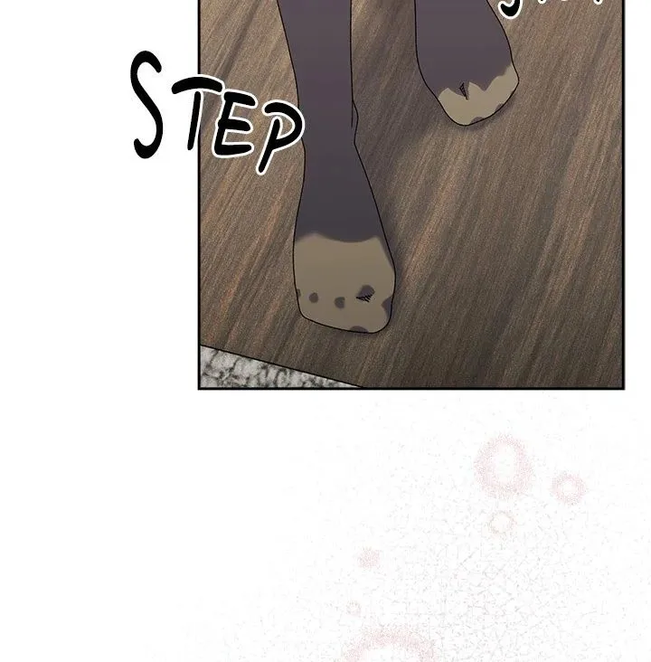 Chapter 74