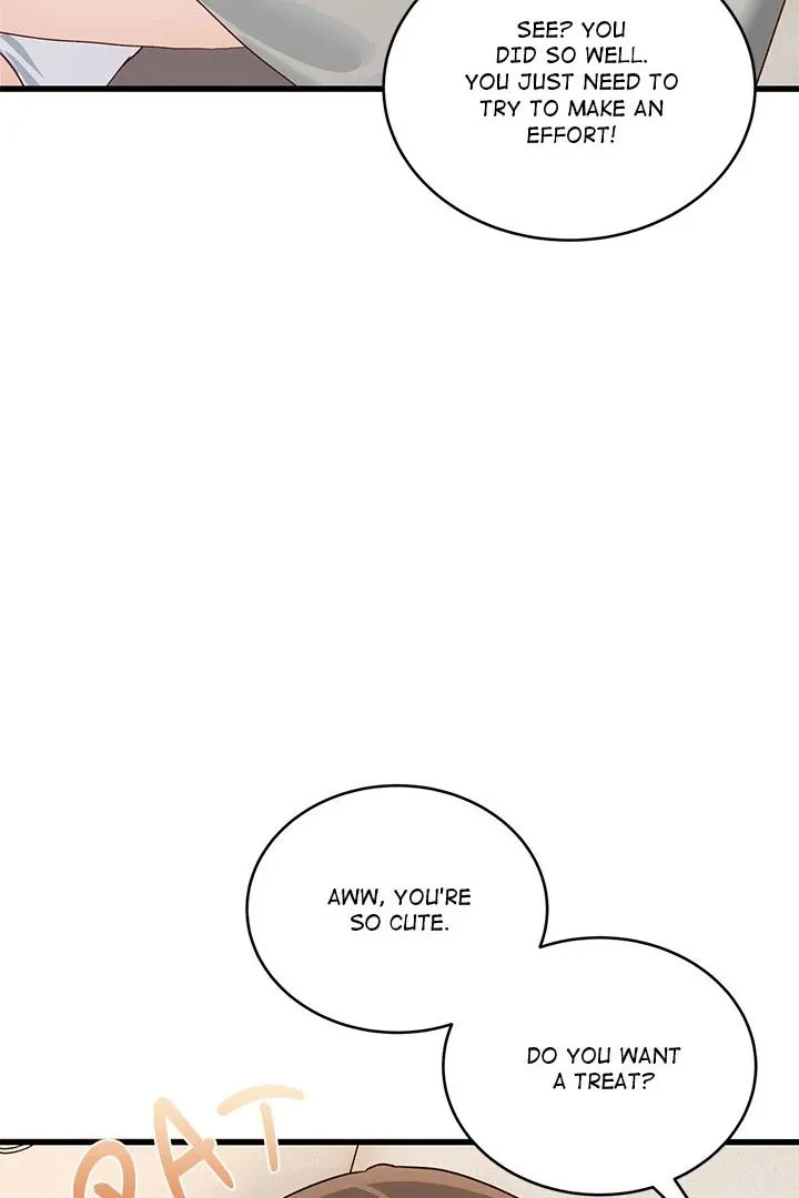Chapter 11