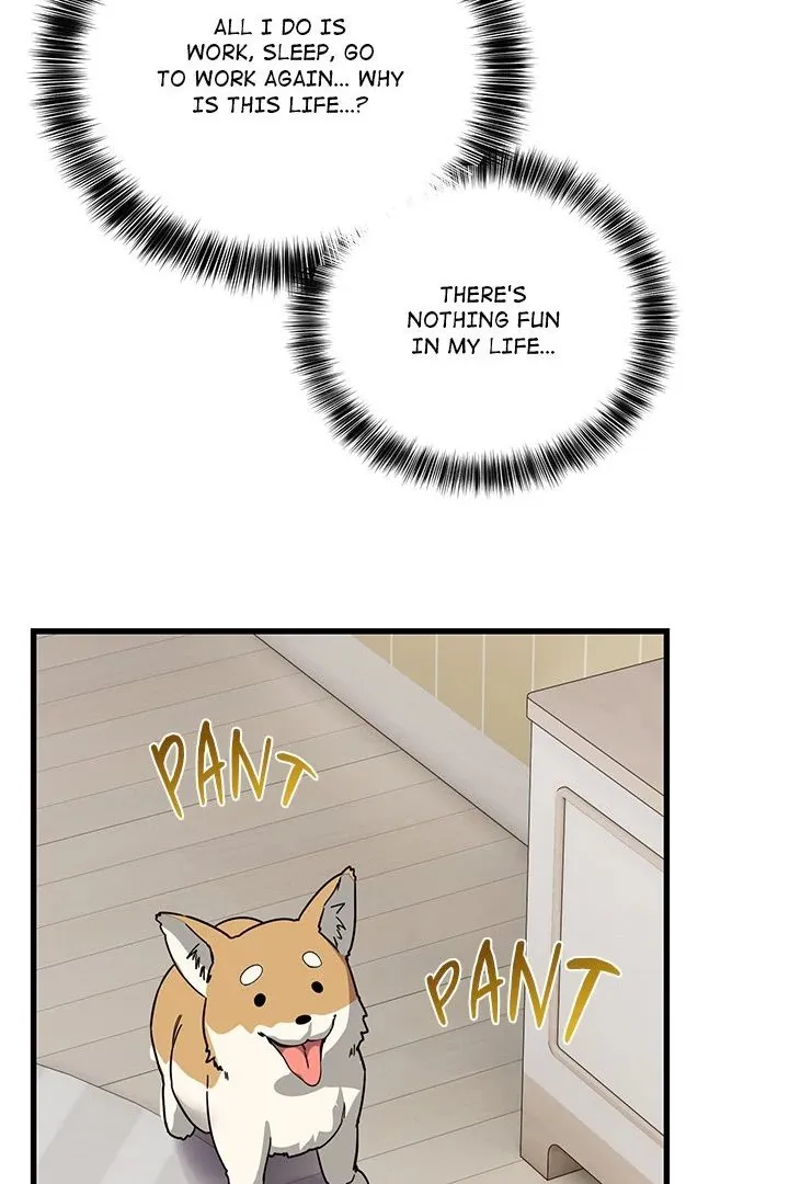 Chapter 12