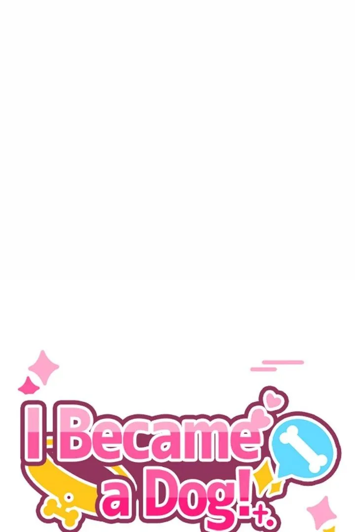 Chapter 15