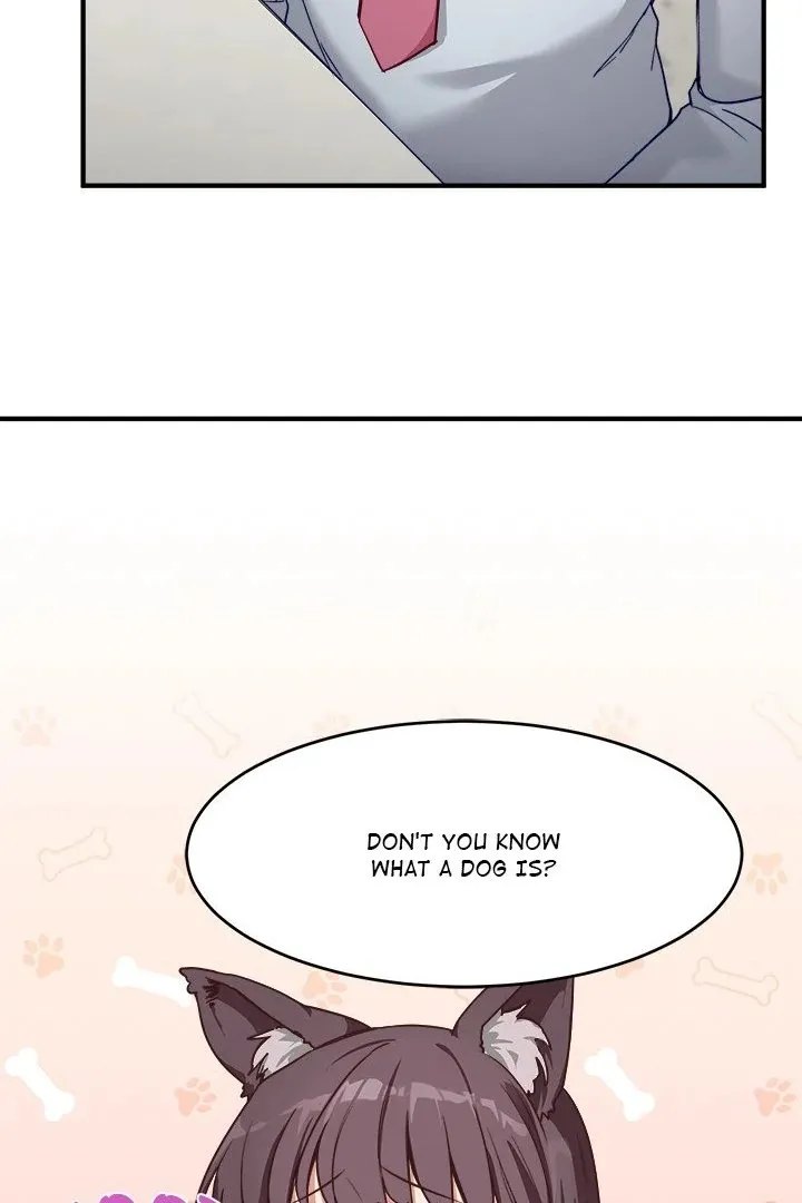 Chapter 5