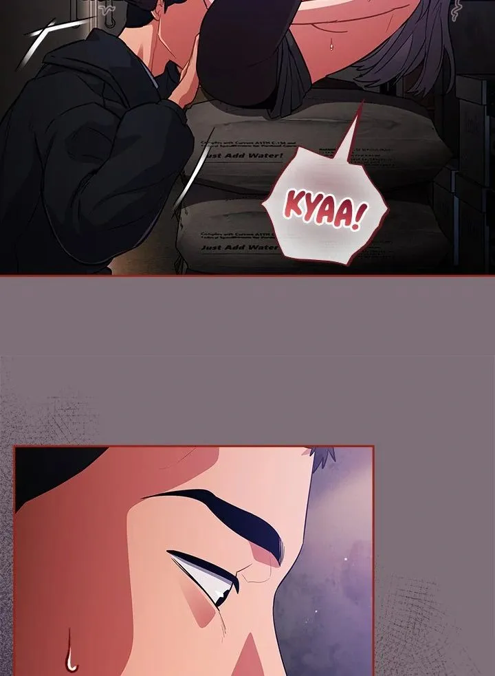 Chapter 15