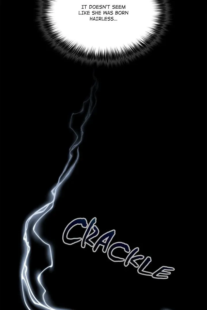 Chapter 15