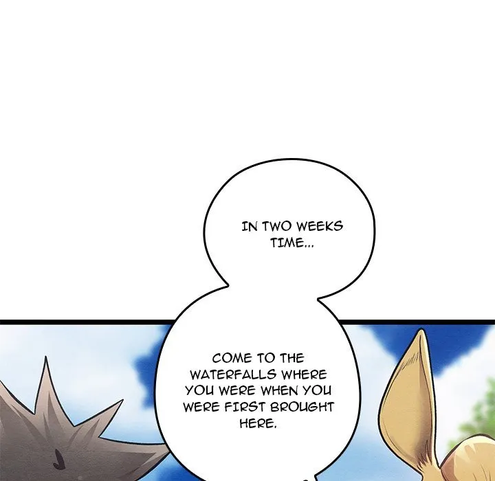Chapter 49