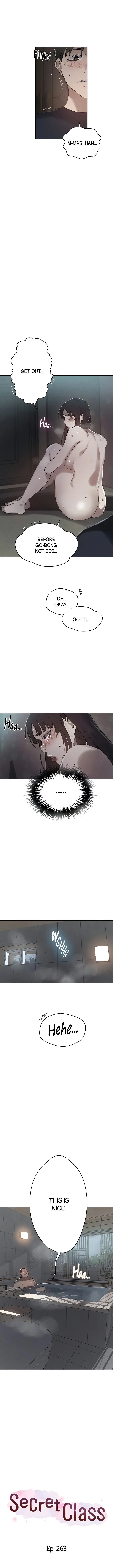 Chapter 263