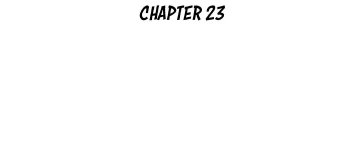 Chapter 23