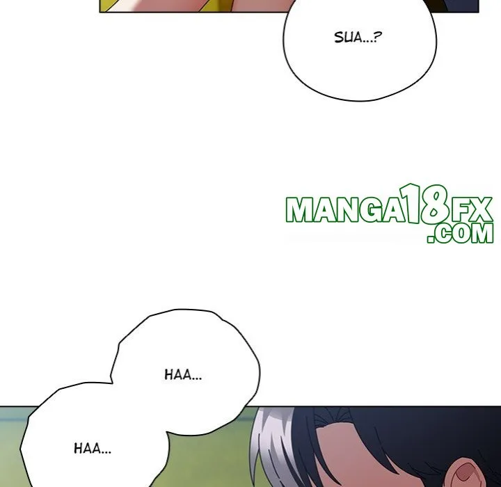 Chapter 19
