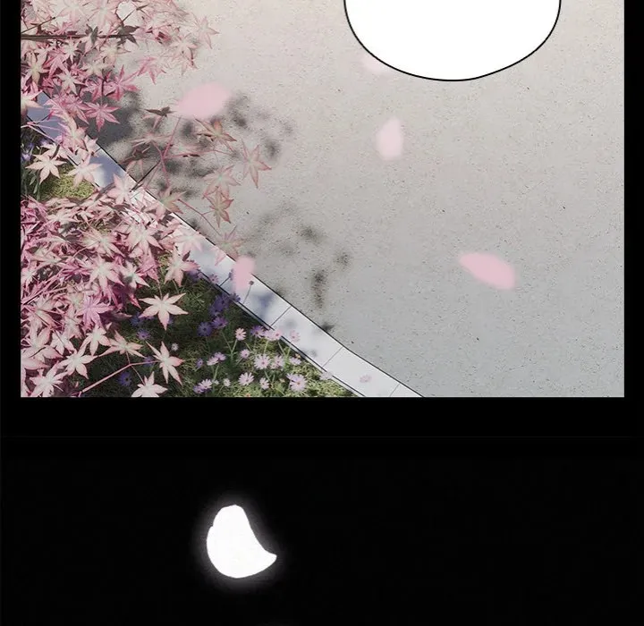 Chapter 24