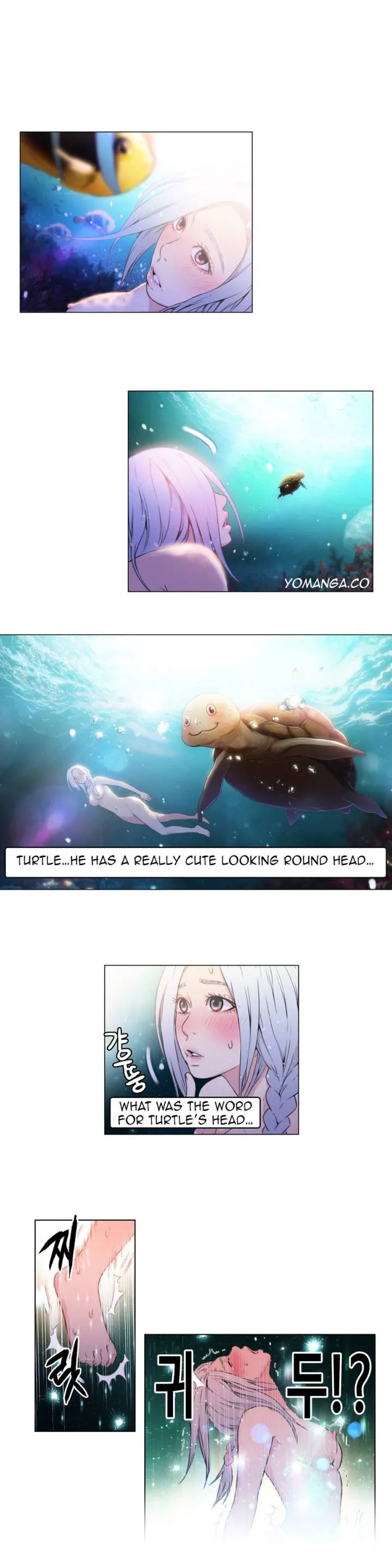Chapter 12