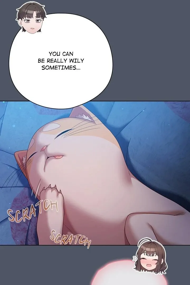 Chapter 27