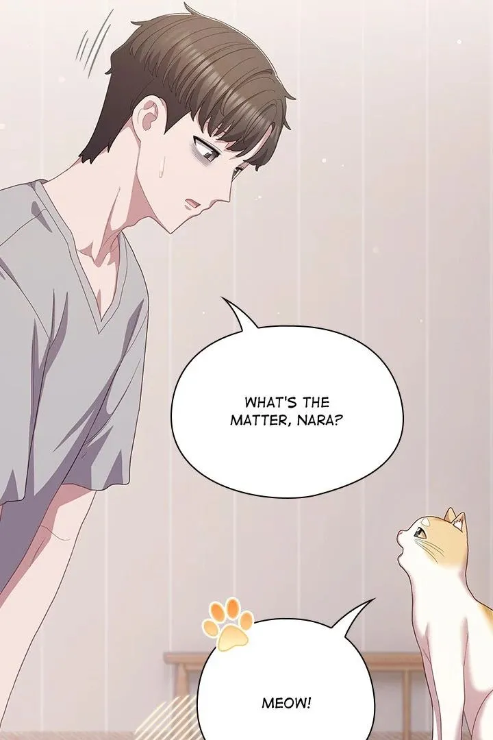 Chapter 29