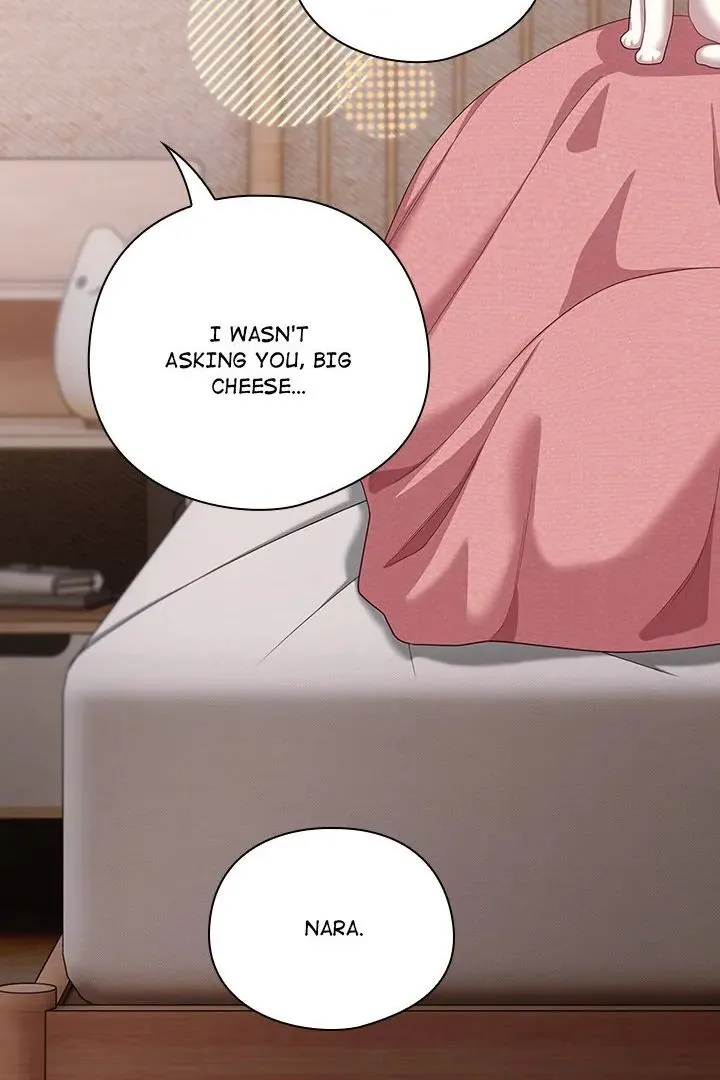 Chapter 29