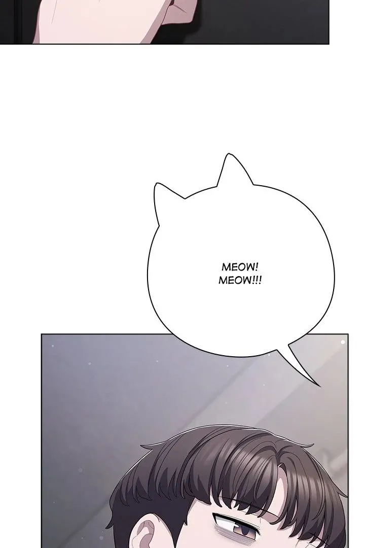 Chapter 29
