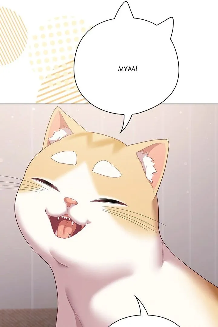 Chapter 29
