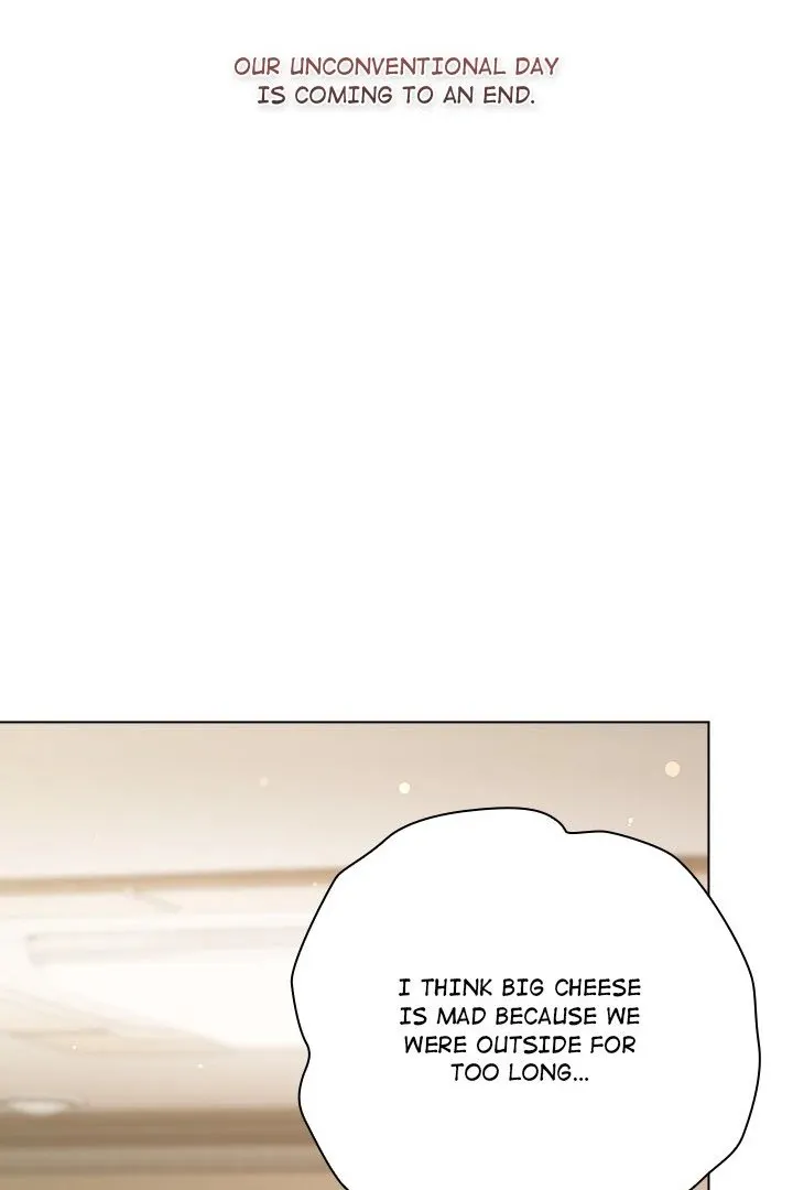 Chapter 33
