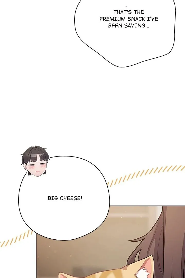 Chapter 33