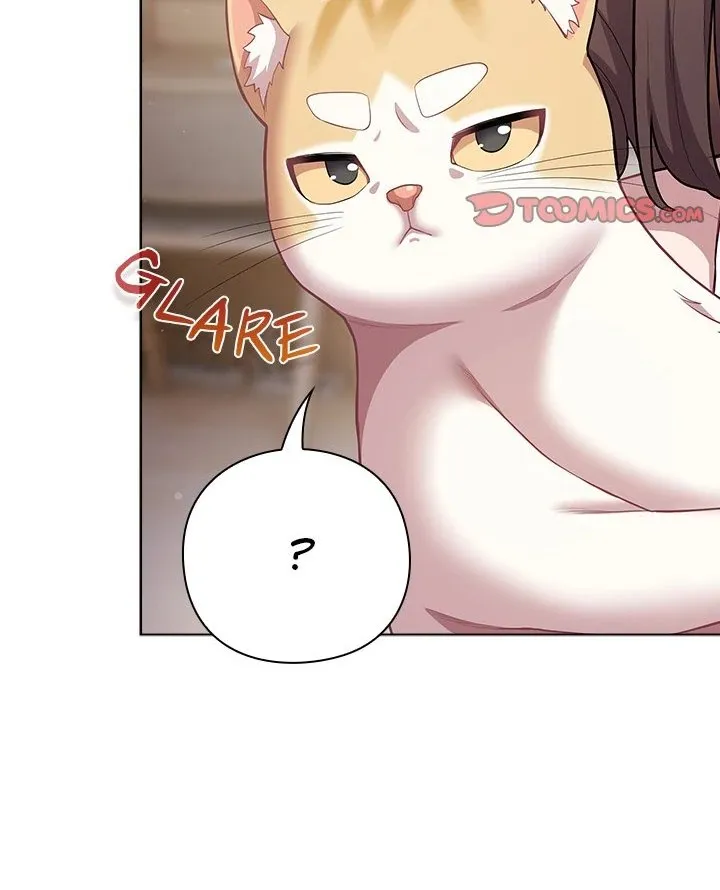Chapter 33