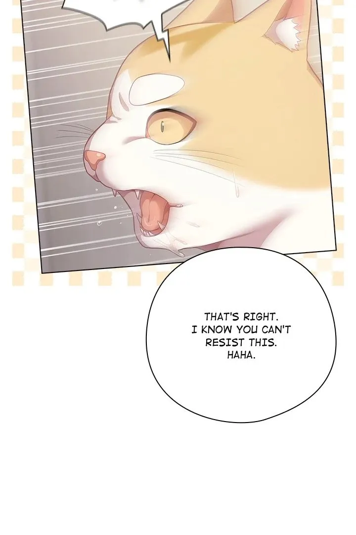 Chapter 33