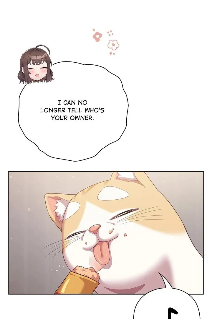 Chapter 33