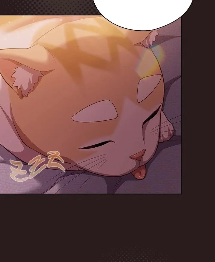 Chapter 34