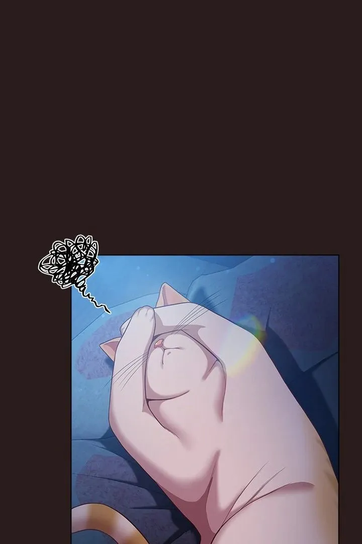 Chapter 38