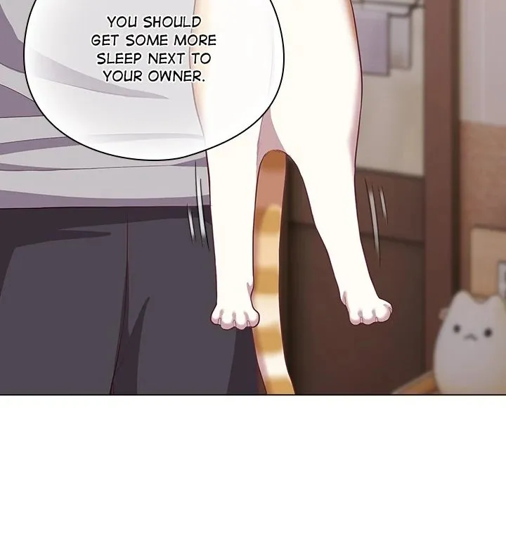 Chapter 38