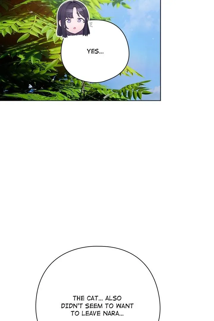 Chapter 45