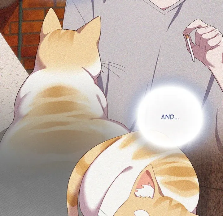 Chapter 53
