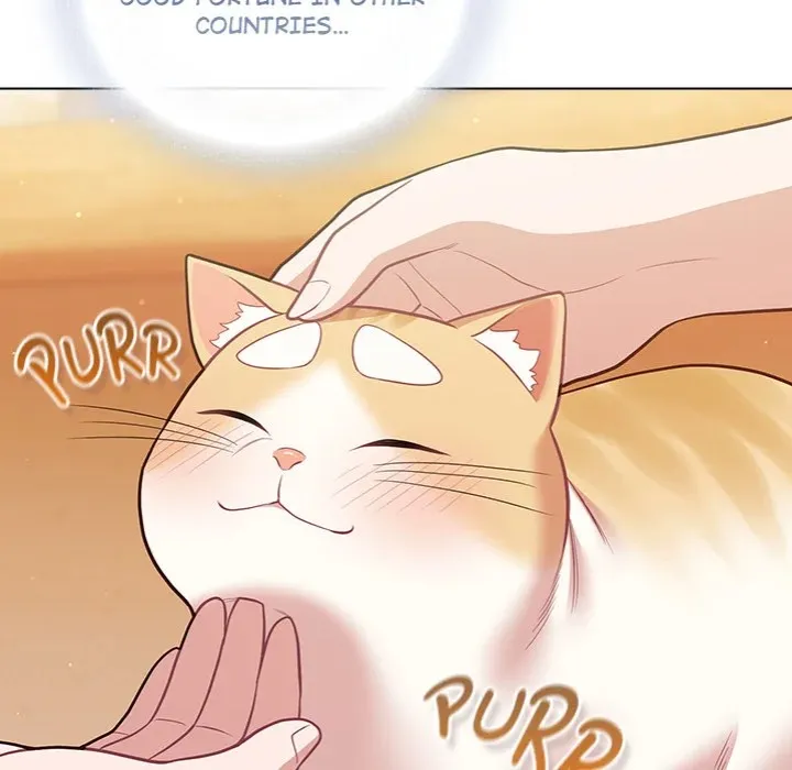 Chapter 53