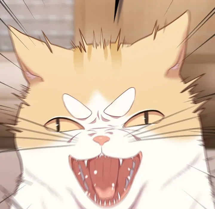 Chapter 53