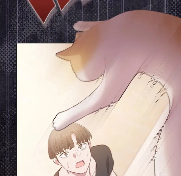Chapter 53