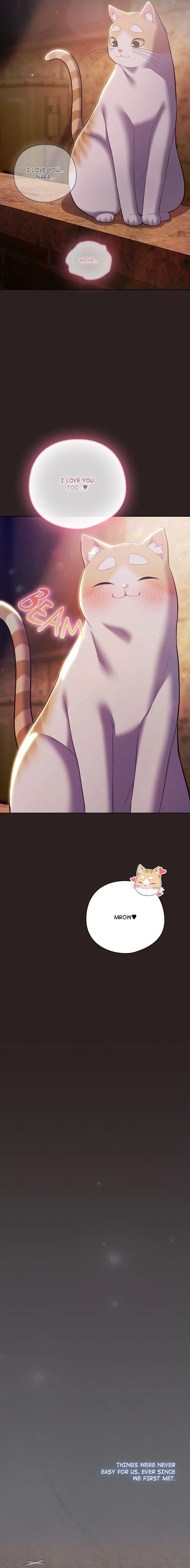 Chapter 54