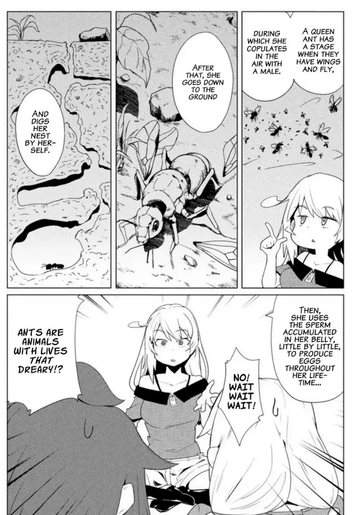 Chapter 13