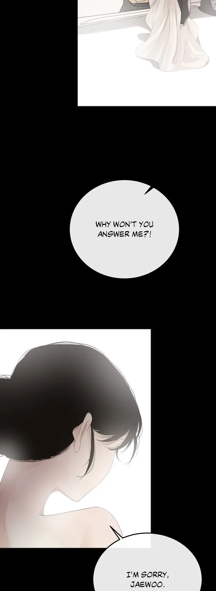 Chapter 41