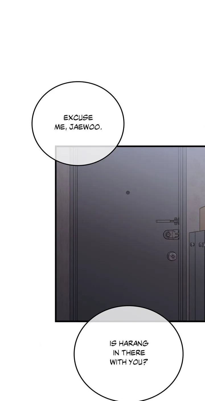 Chapter 50