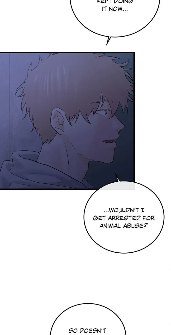 Chapter 50