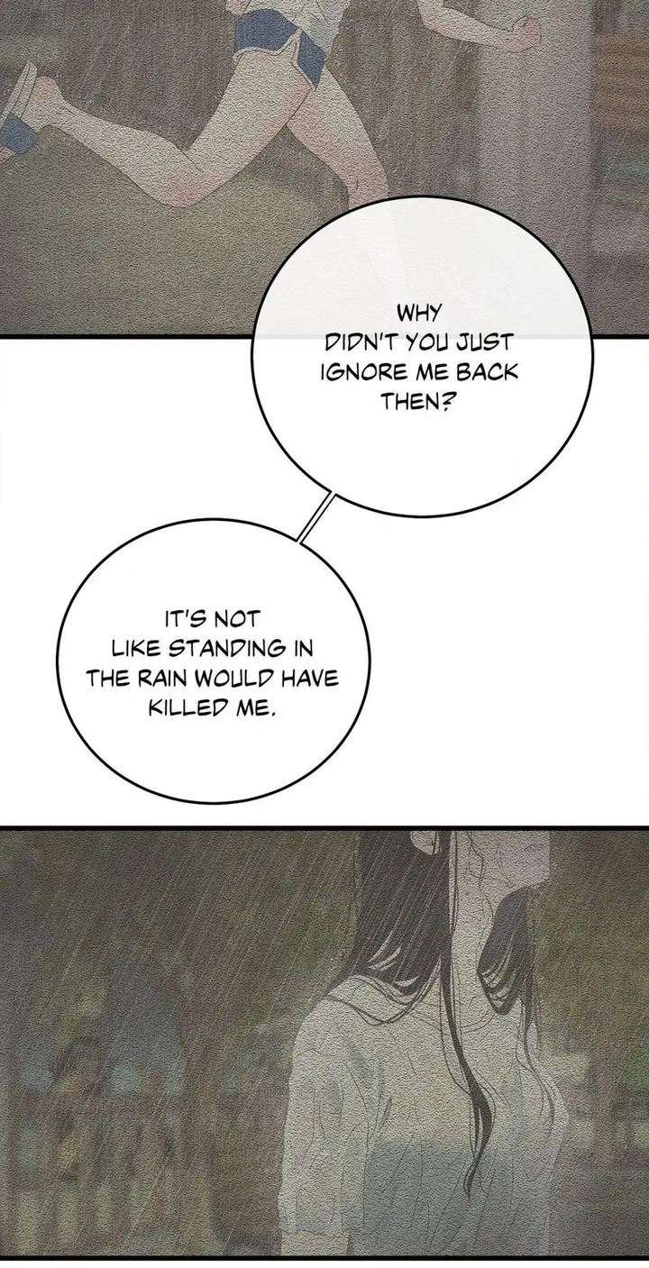 Chapter 52
