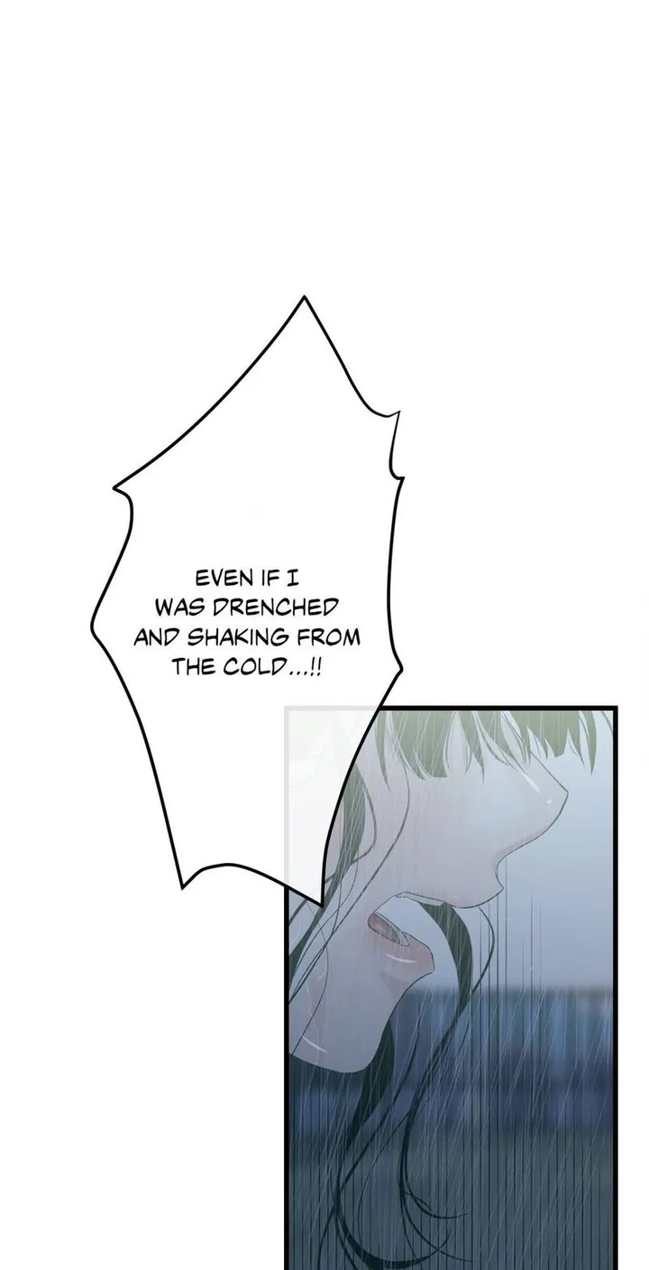 Chapter 52