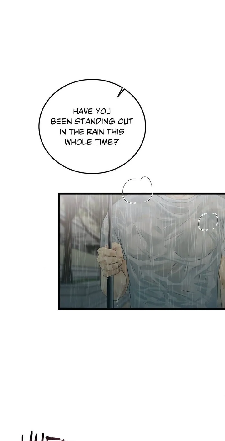 Chapter 52